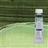 oil Akademie 60 ml - sap green