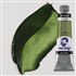 van GOGH oil 40 ml - Sap green