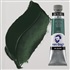 van GOGH oil 40 ml - Fir green