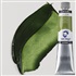 oil van GOGH 200 ml - sap green
