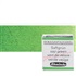 akv. HORADAM 1/2 pánvička - Sap green