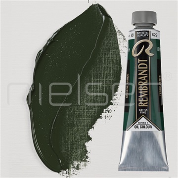 Rembrandt oil 40 ml - Green earth