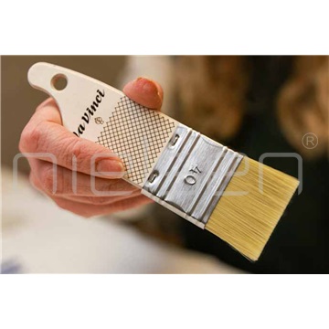 da Vinci PADDLE Serie 2427