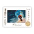blok Watercolor School Gold A4, 200 gms, 20 listů