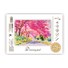 blok Drawing School Gold edition A3, 120 gms
